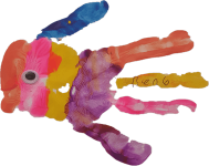 fish12Asset 12